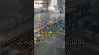 Semi-Automatic Fertilizer Bagging Packing Machine | Palletizing Packaging Production Line