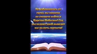 Не избавившись от греха, вы никогда не сможете войти в Царство Небесное! Суд последних дней выведет