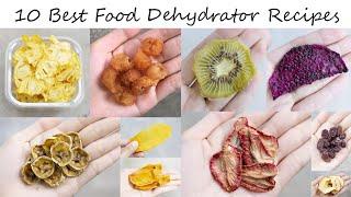 10 Best Food Dehydrator Recipes You Will Want to Try