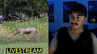 SPOOK STREAM LIVE  (CRYPTID VIDEO REACTION)