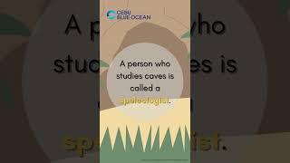 What do you call a person who studies caves? #shorts