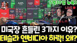 미국주식/오늘 흔들린 3가지 이유!/테슬라 엔비디아 하락! 팔란티어 폭등! 왜? 구글 애플 아마존 메타 마이크로소프트아이온큐 리게티 LLY 노보 머크 UNH $tsla #tesla