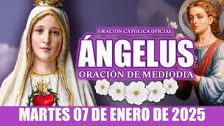 Ángelus del día de Hoy MARTES 07 DE ENERO DE 2025-Oraciones a la Virgen María ORACIÓN MEDIO DÍA