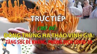 Đông trùng hạ thảo Vinh Gia: Tăng sức đề kháng, phòng dịch Covid-19 | Sức khỏe vàng