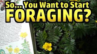 How To Get Started Foraging - Practical Guidance For Absolute Beginners