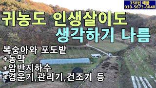 358번 매물.복숭아와 포도 과수원.귀농용이나 귀촌용.년간 수익 2천만원.암반지하수.농막.창고.전기인입.경운기와 관리기 및 건조기 등 농기계 드림.주택허가 가능.농촌체류형쉼터 가능