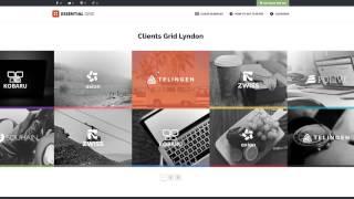Essential Grid WordPress Plugin - Introduction