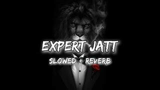 Expert Jatt || slowed + reverb + 16D + lyrics || #slowed #bassboosted