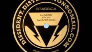 Brassica - Illness From Awareness