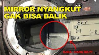 NIKON D610 MIRRORNYA NYANGKUT GAK MAU TURUN LAGI #jualkamera #kamera #nikon