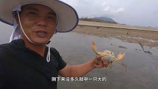 住海边就是好，老四来海边、草地逛一圈都是好货，抓爽了