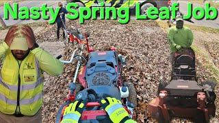 Nasty Spring Leaf Clean up! #lawncare #mowing #grasscutting