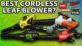 Best Leaf Blower? EGO, Milwaukee, Ryobi, Stihl (Best Leaf Blower 2024)