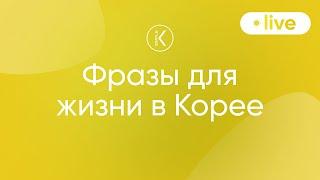 Фразы для жизни в Корее |  Марафон серий