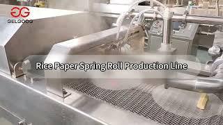 Quality Rice Paper Spring Roll Production Line