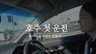 호주 운전연수 없이 첫 운전 하기! 한국면허 영문면허증 운전가능