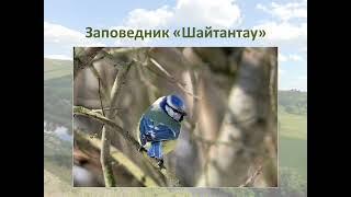 «Башкирские самоцветы». Хайбуллинский район