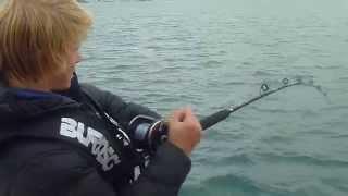 Cod Botherer Fishing: Jordy's Yellowtail Kingfish gets away