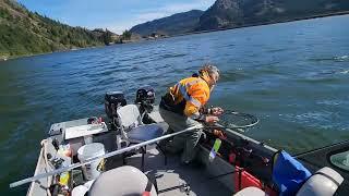 Steelhead on a SuperBait on Drano Lake. Fish was released unharmed.