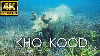 Scuba Diving on KOH KOOD / TOP best places and animals / 4K