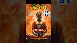 내면의 평화와 집착 내려놓는 방법, 부처님 말씀 인생교훈 ㅣ 자비와 연민 ㅣ 삶의 지혜ㅣ힐링