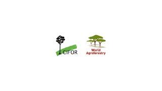 CIFOR - ICRAF Chief Scientist on Agroecology and Agroforestry