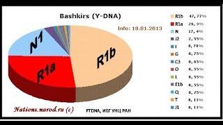 Гены башкир R1b, R1a и N1c