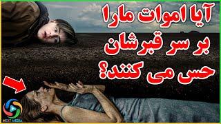 آیا اموات صدای ما را میشنوند؟ NEXT MEDIA