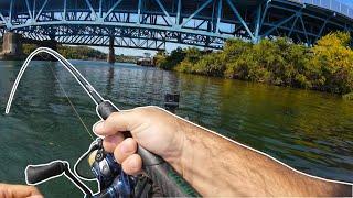 Trip to the Monongahela river gone wrong | Smallies | Ned zeppelin