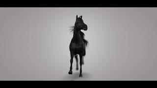 Rhò - BLACK HORSE