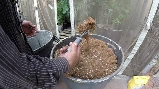 HOW TO RE USE  COCO COIR MADE EASY