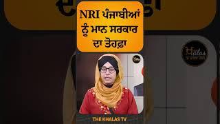 NRI ਪੰਜਾਬੀਆਂ ਨੂੰ ਮਾਨ ਸਰਕਾਰ ਦਾ ਤੋਹਫ਼ਾ #BhagwantMann #KuldeepSinghDhaliwal #nri #TheKhalasTv