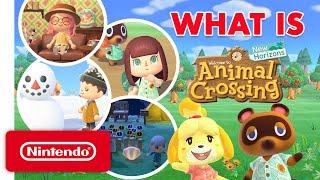 What Is Animal Crossing: New Horizons? A Guide for the Uninitiated