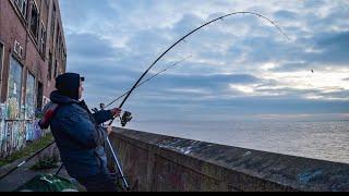 Fishing The Humber - Catch and Cook