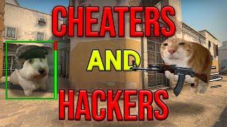 Counter-Strike's Cheating Phenomenon