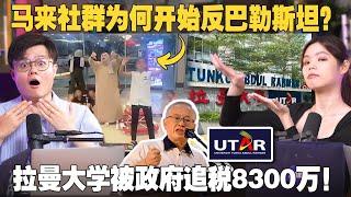 为什么马来人开始吃回麦当劳？拉曼大学被追税务8300万，谁的错？【#新闻随便看 5/10】