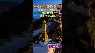 КАК ОТЛИЧИТЬ ЦЕЛИТЕЛЯ ОТ ШАРЛАТАНА