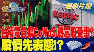 台積電急擴CoWoS產能.概念股受惠？股價先表態！？ | 金臨天下 20230720