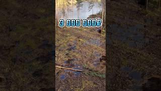 БОЛОТО за 3 000 000.Отсыпка участка.
