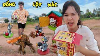 Bạn Rồng Đỏ Đã Lớn Biết Lột Xác và Bộ mô hình mèo đuổi chuột Tom và Jerry tuổi thơ