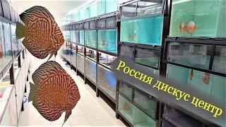 Россия Дискус Центр? {Большой выпуск} Russian Discus Center