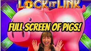 FULL SCREEN OF PIGGIES! PIGGY BANKIN LOCK IT LINK