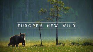 Europe's New Wild - Europe’s wildlife comeback is underway