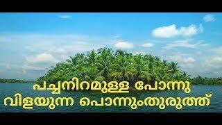 Pinnumthuruth. പച്ചനിറമുള്ള, പൊന്നുവിലയുന്ന പൊന്നുംതുരുത്ത്‌ |Vowstay|