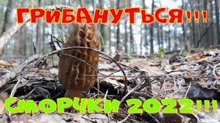 УРА!!! СМОРЧКИ ПОШЛИ!!! ПЕРВЫЕ ГРИБЫ 2022 ГОДА!!! ГРИБЫ СМОРЧКИ И ПАСХА!!! ДВОЙНОЙ ПРАЗДНИК!!!