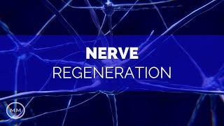 Nerve Regeneration - Repair Nerve Connections / Activate Growth - Binaural Beats - Meditation Music