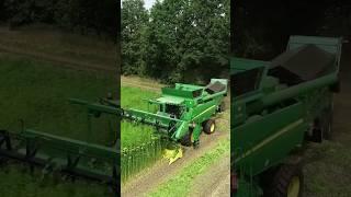 Hemp Harvest @TonnieStamTSN  John Deere T660i Double Cut Combine #farming #agriculture #agro