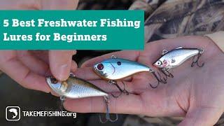 5 Best Freshwater Fishing Lures for Beginners