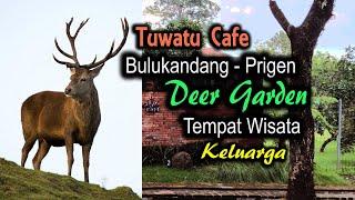 Tempat berbuka puasa yang asik & wisata Keluarga #prigen #wisata #youtubevideos