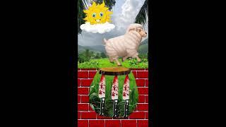 vfx golu is live vfx space effect video #shorts #vfx #live #youtube
